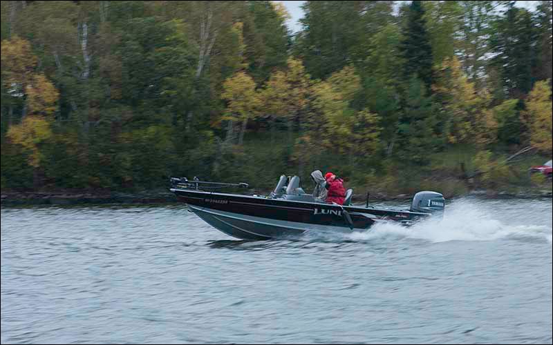 m29.jpg